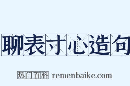 聊表寸心造句是什么意思的图片